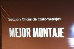 Galaclaus075-20.8.22